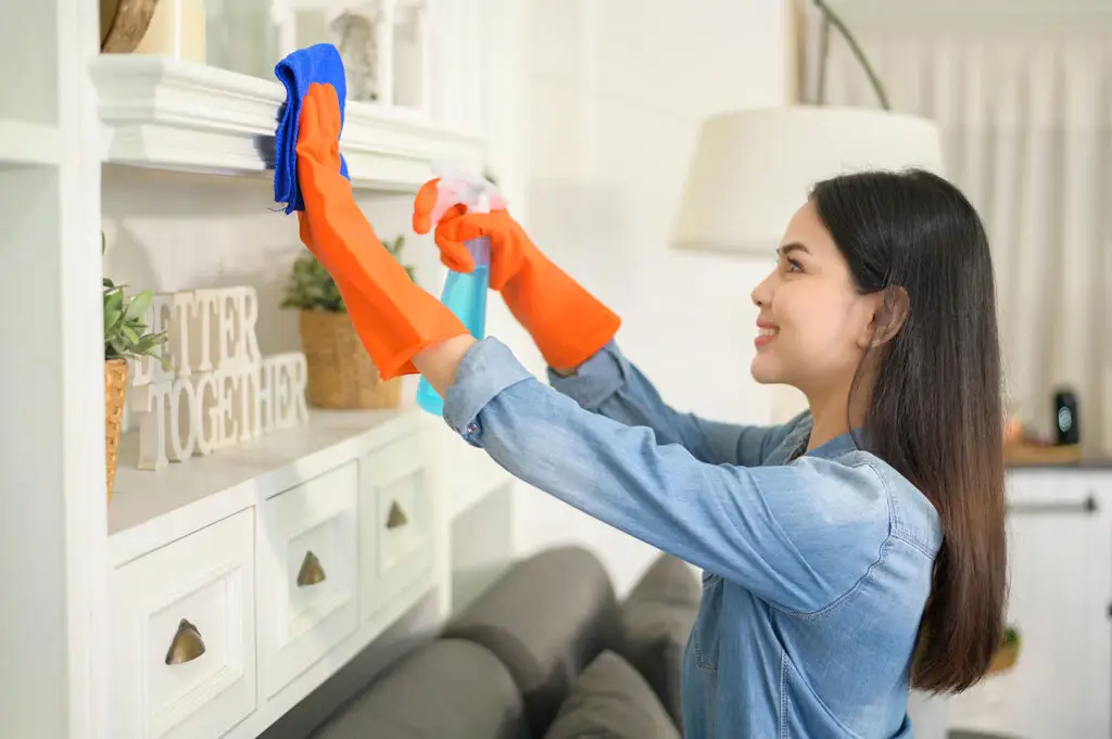 El paso House Cleaning